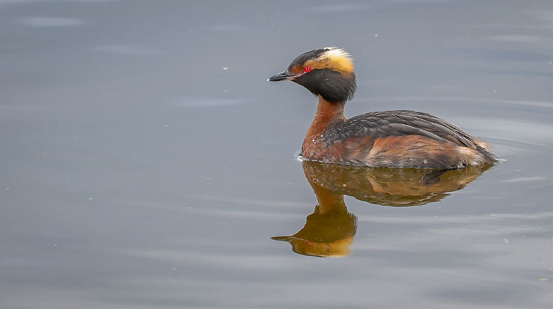 20250704-171247-026-R6