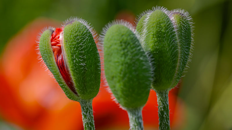 20250705-113733-022-R6