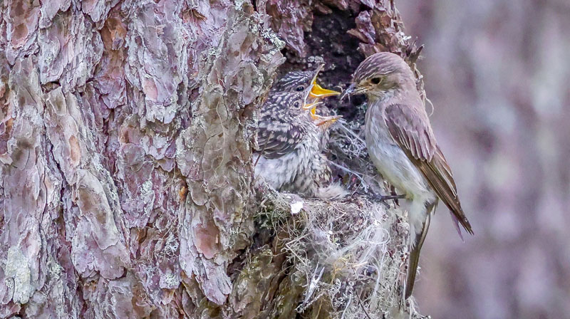 20250709-143634-253-R6