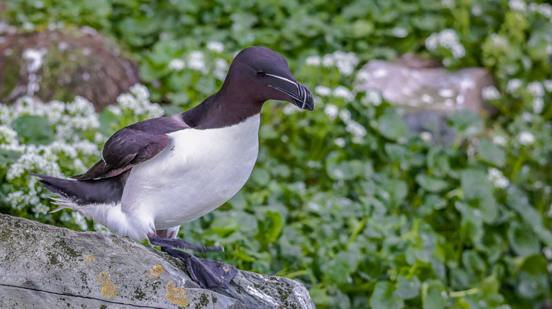 20250718-092014-034-R6