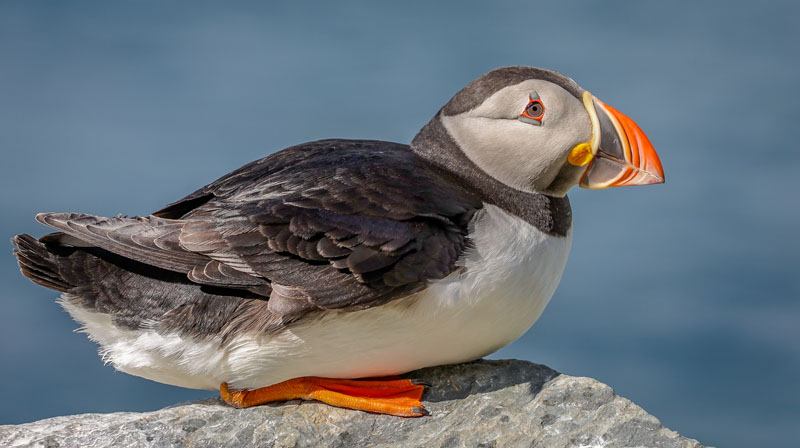 20250718-112224-454-R6