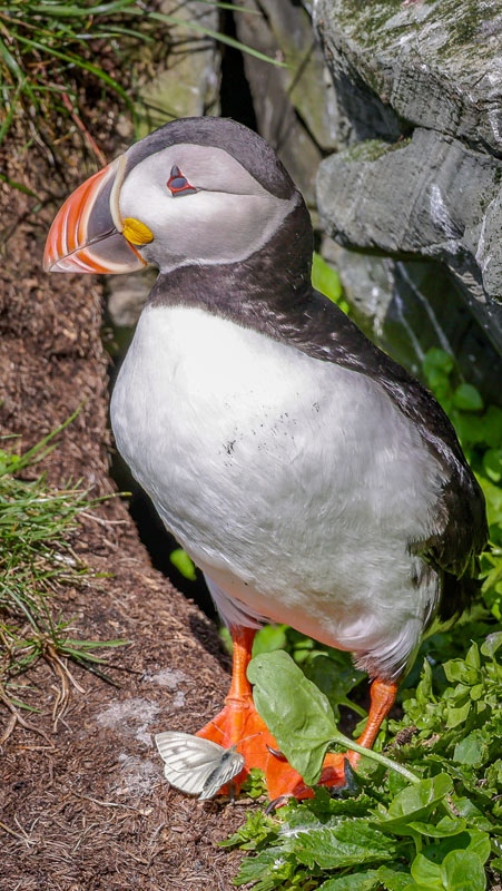 20250718-113113-552-R6