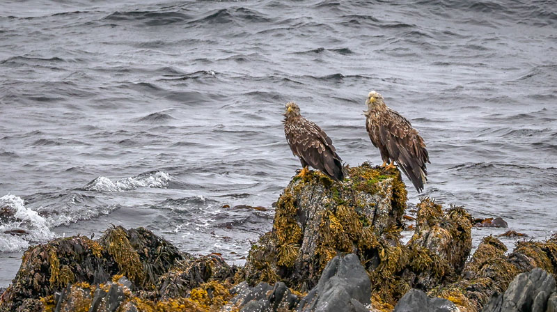 20250723-111438-044-R6