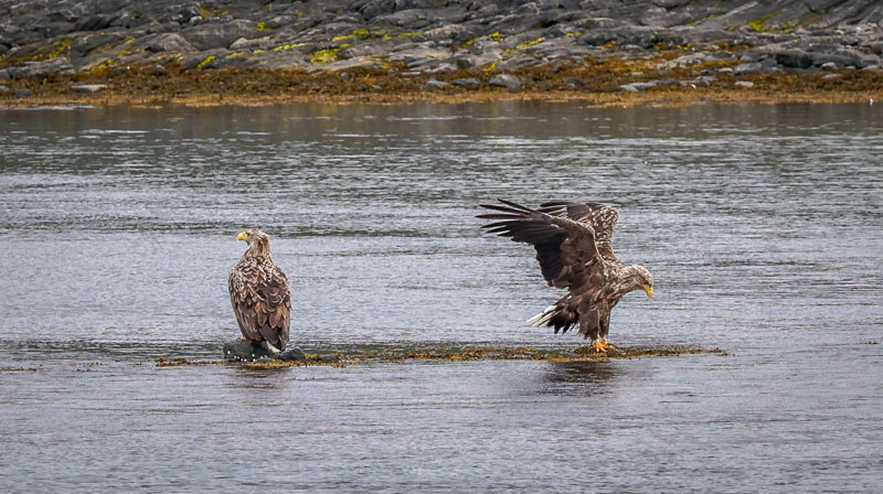 20250725-143650-020-R6