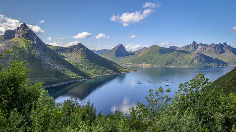 20250813-125007-056-R6