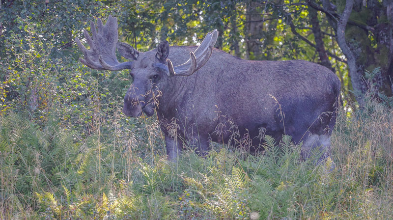 20250826-091355-016-R6