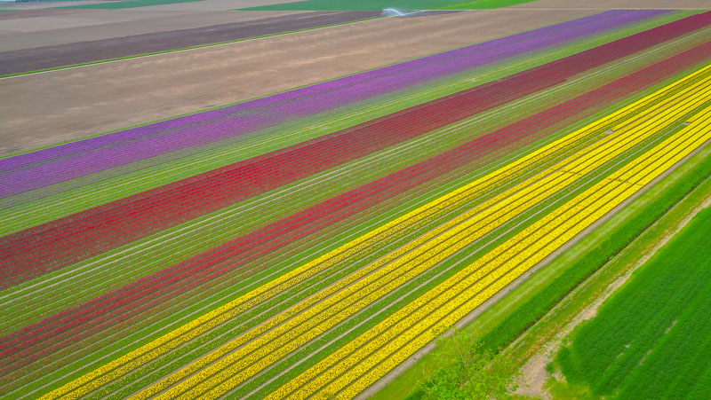 20260502-122305-019-DJI