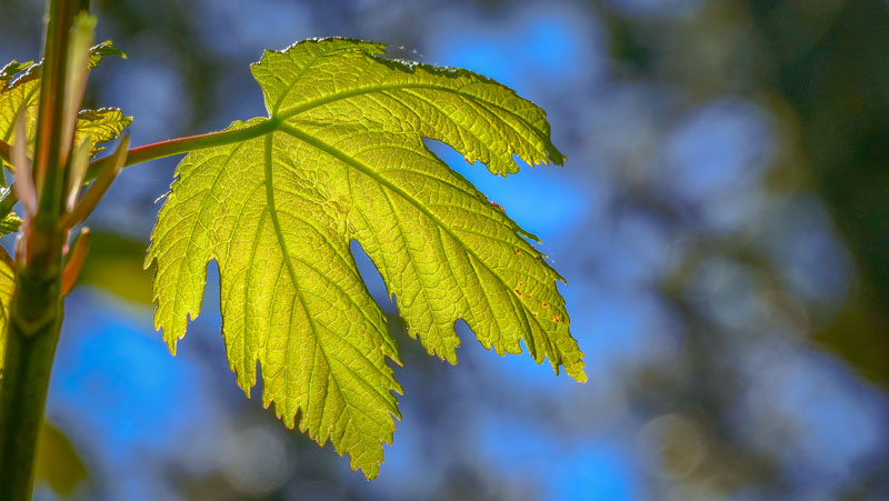20260507-120918-020-FZ1000