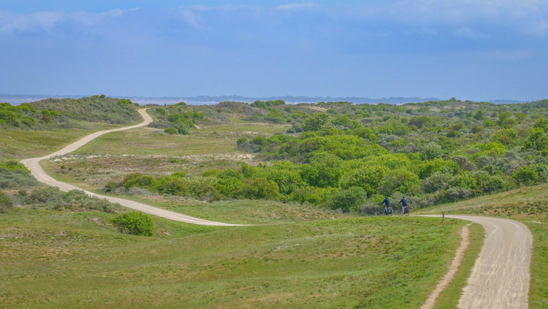 20260521-114943-085-FZ1000