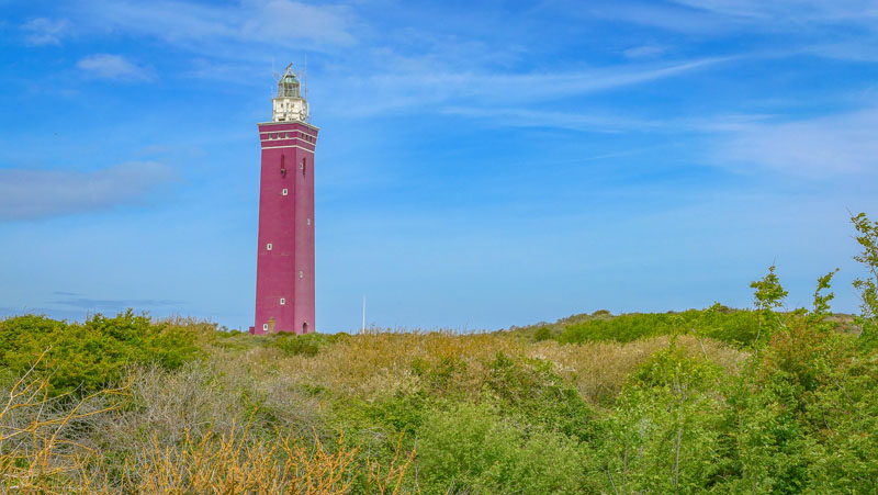 20260521-122643-065-FZ1000