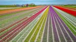 20260427-110903-007-DJI-1