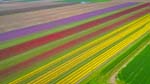 20260502-122305-019-DJI